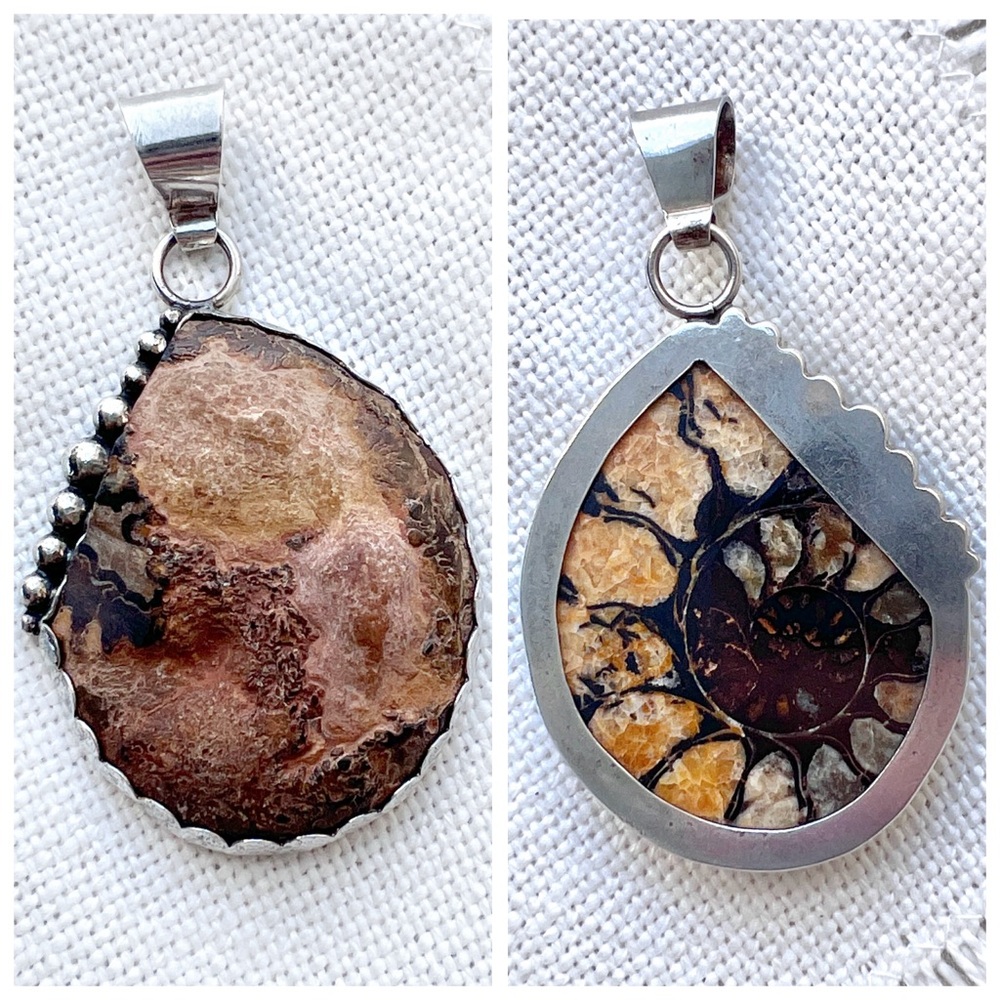Ammonite Fossil Reversible Sterling Silver Southwestern Pendant